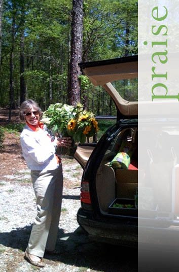 Praise for Marjorie Johnston