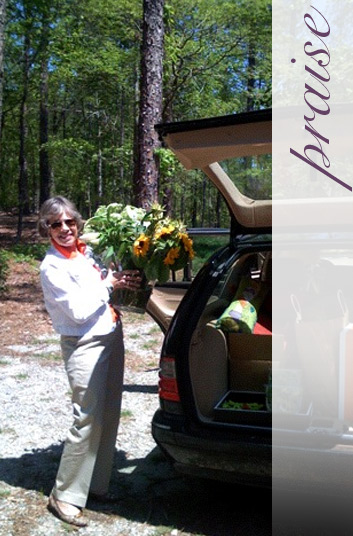 Praise for Marjorie Johnston